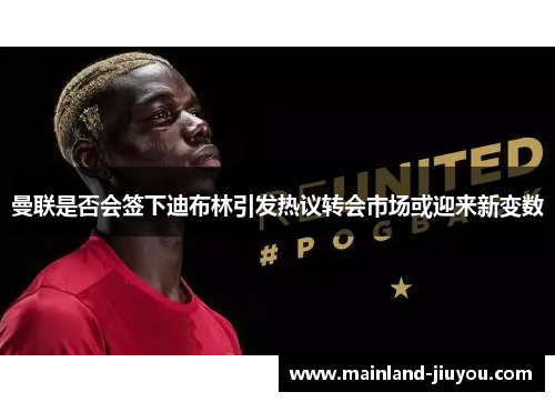 曼联是否会签下迪布林引发热议转会市场或迎来新变数