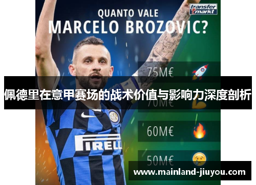 佩德里在意甲赛场的战术价值与影响力深度剖析